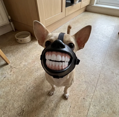 Human Teeth Dog Muzzle